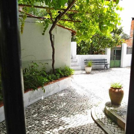Casa Dos Pocinhos Ferias Tranquilas No Campo Torres Novas Buitenkant foto
